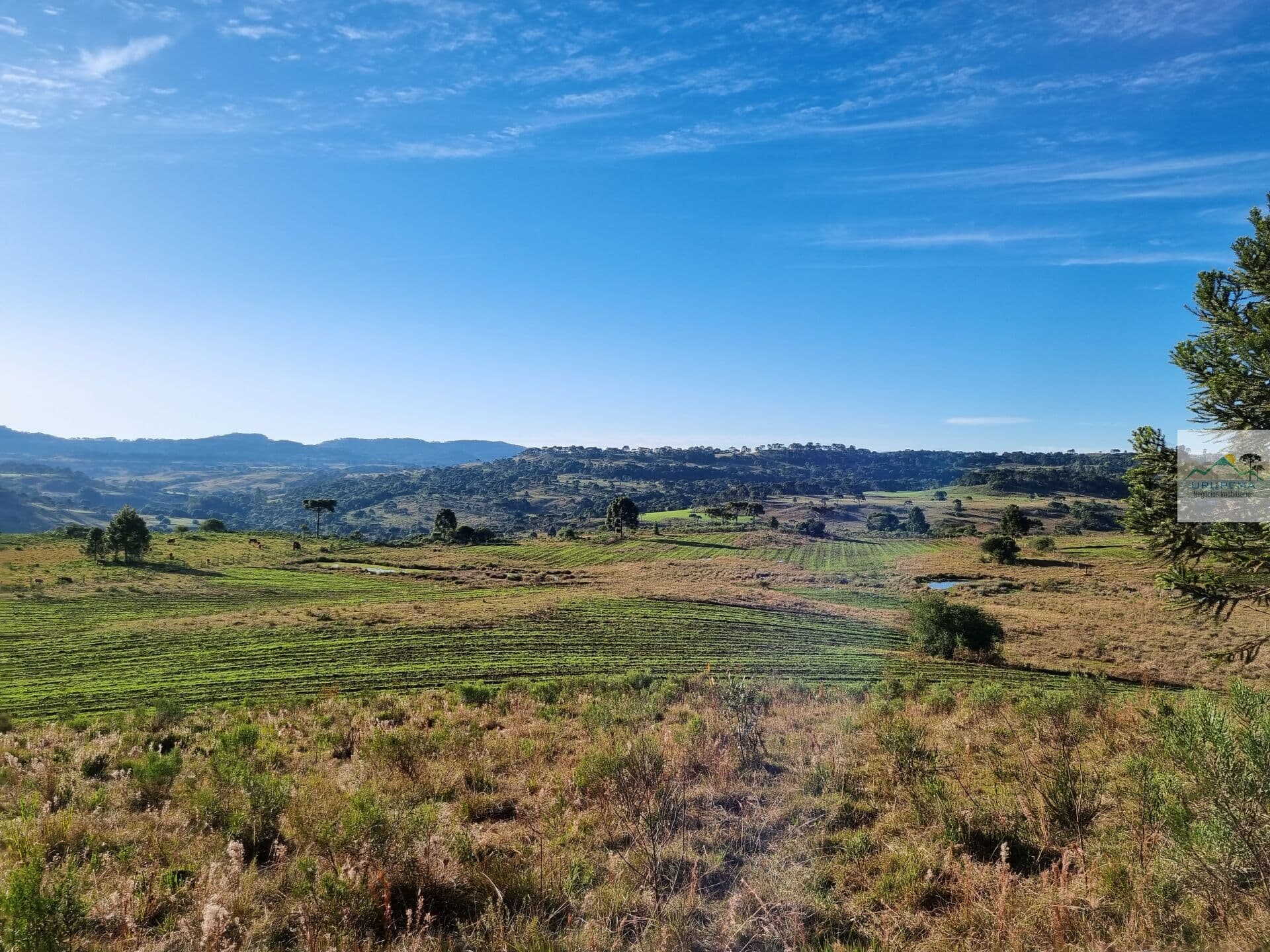 Fazenda/Sítios/Chácaras em Urupema - Centro