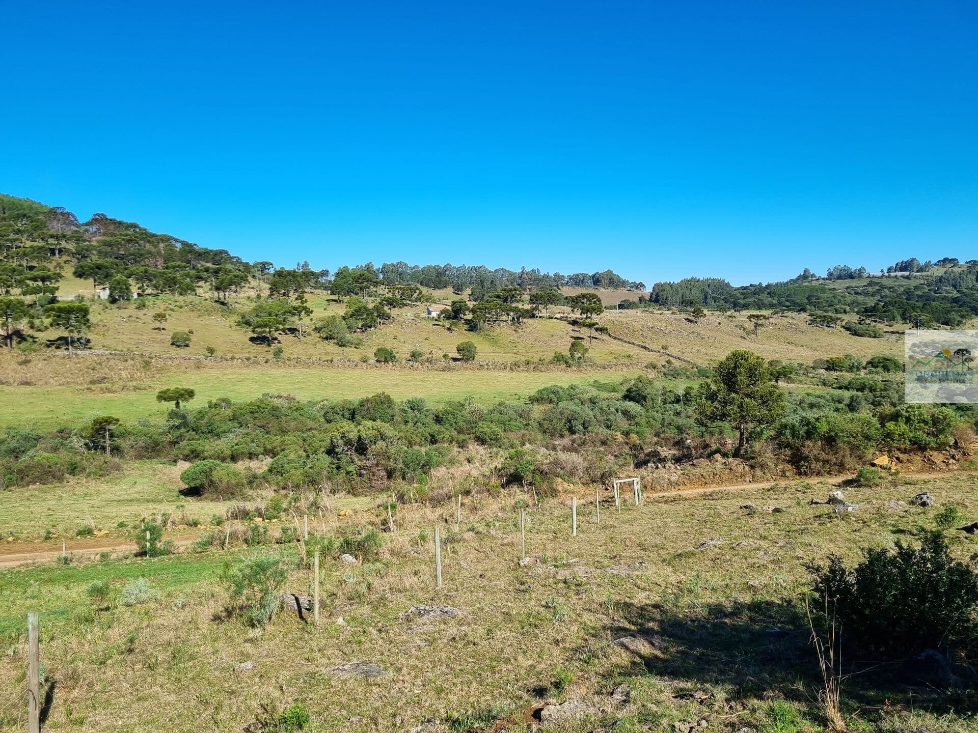 Área Rural com 6 hectares
