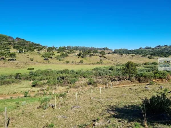 Área Rural com 6 hectares