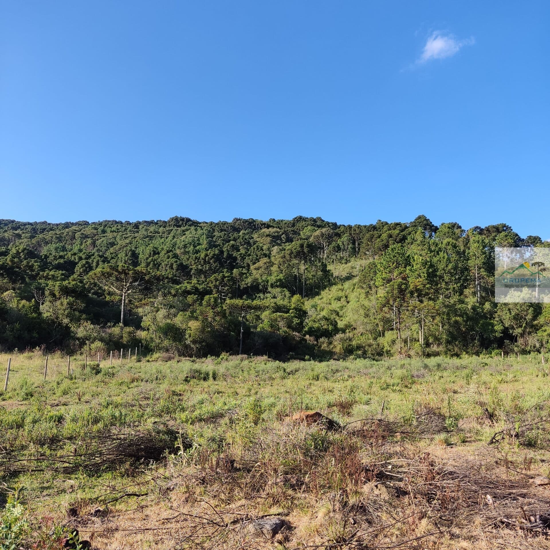 Área Rural com 5,4 hectares