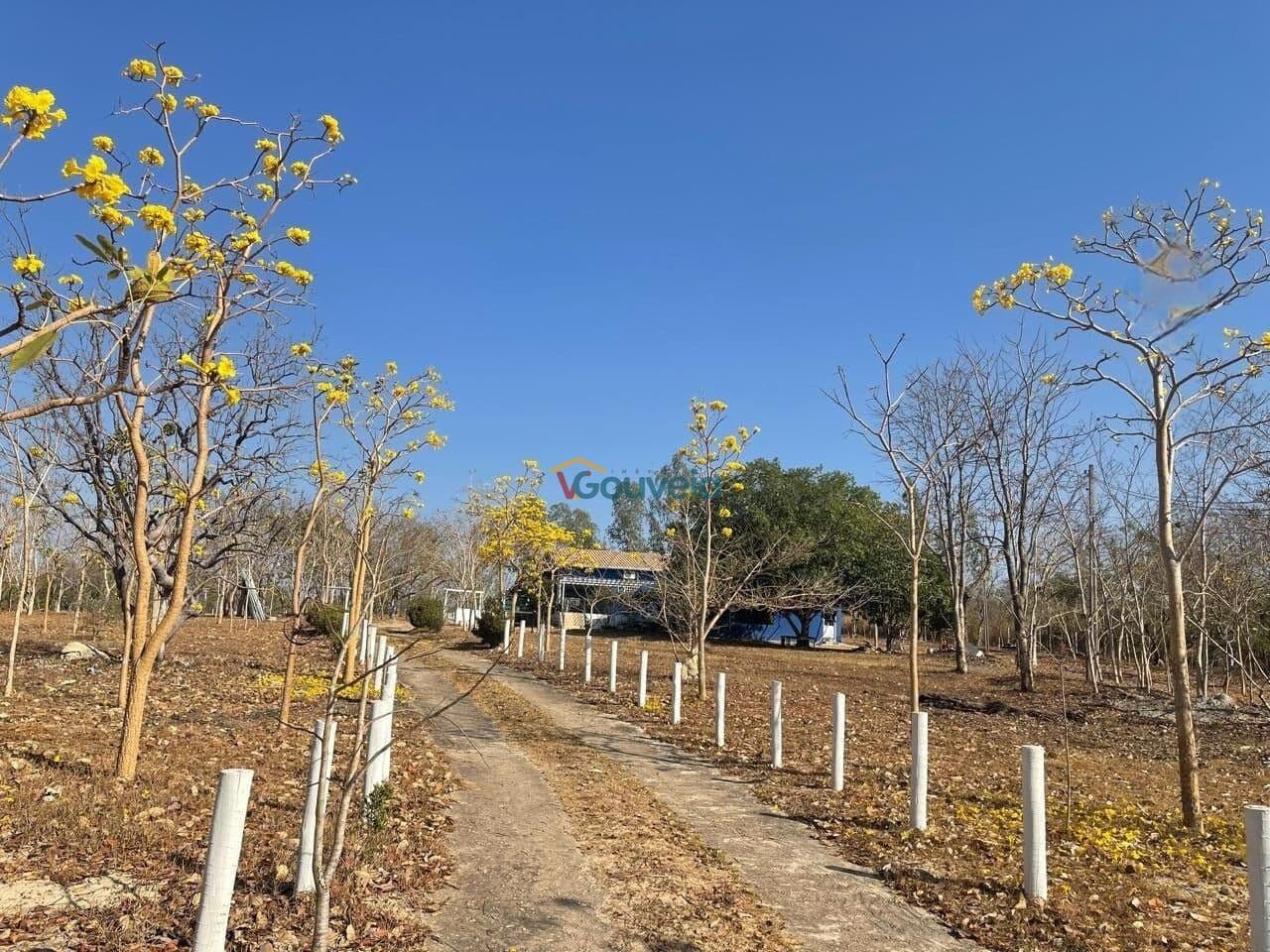 Chácara na estrada para Chapada dos Guimarães.