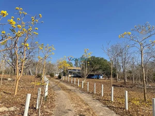 Chácara na estrada para Chapada dos Guimarães.