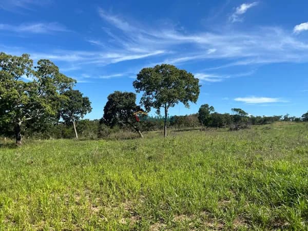 Fazenda em Novo Mundo, Várzea Grande/MT