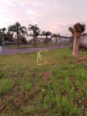 Terreno de esquina