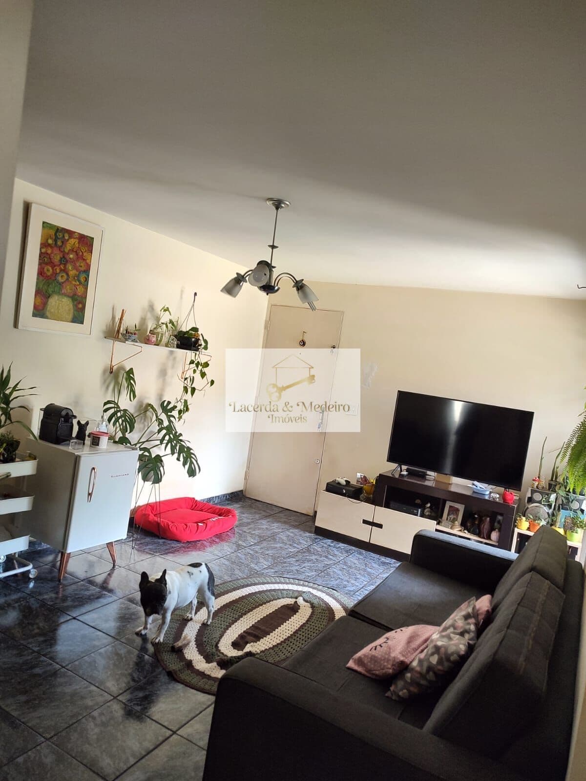 Vende-se Apartamento 02 Dormitórios Vila Andrade.