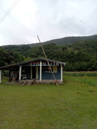 Fazenda/Sítios/Chácaras em Maquiné - Centro