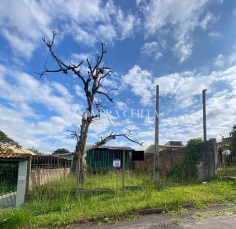 Lote/Terreno em Cachoeirinha - Vila Monte Carlo