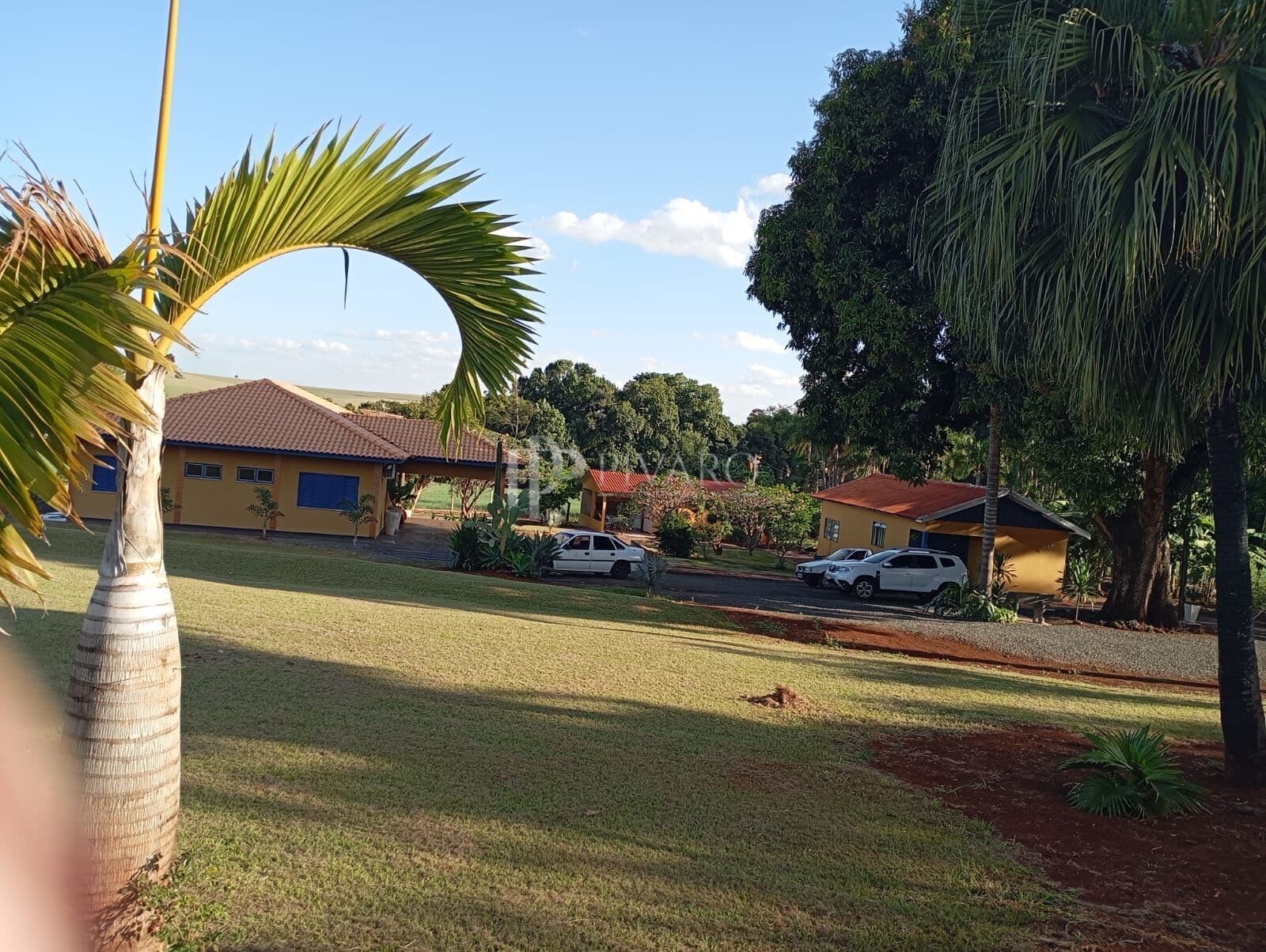 Chácara em Sertanópolis