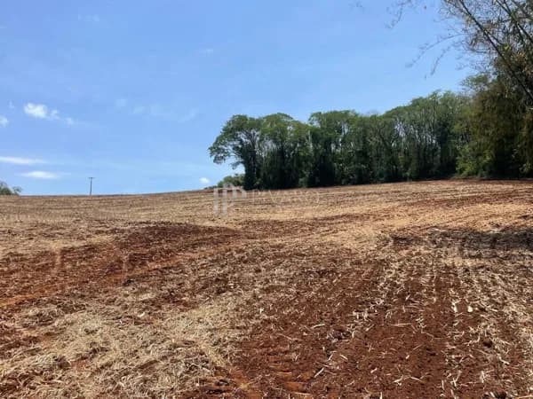 Sítio à venda próximo ai trevo de Uraí