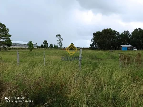 Fazenda/Sítios/Chácaras em Santa Vitória do Palmar - Brasiliano