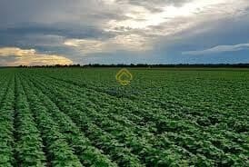 Fazenda/Sítios/Chácaras em Arroio Grande - Centro