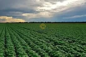 Fazenda/Sítios/Chácaras em Arroio Grande - Centro