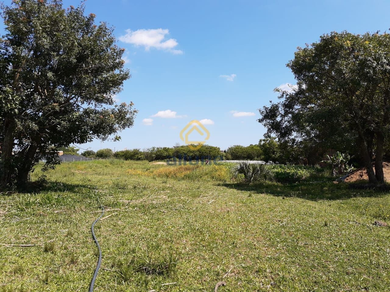 Terreno com 3.000 m² próximo a BR 116 - Sítio Floresta