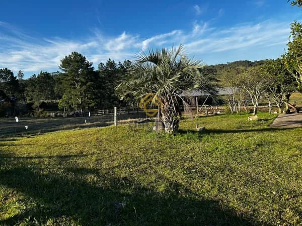 Fazenda/Sítios/Chácaras em Cerrito - Centro
