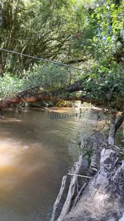 Fazenda/Sítios/Chácaras em Pelotas - Distrito Colônia Municipal Grupelli