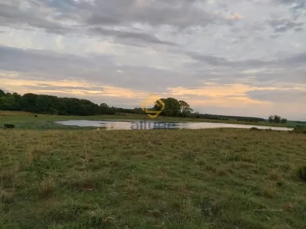 Fazenda/Sítios/Chácaras em Pedro Osório - Centro