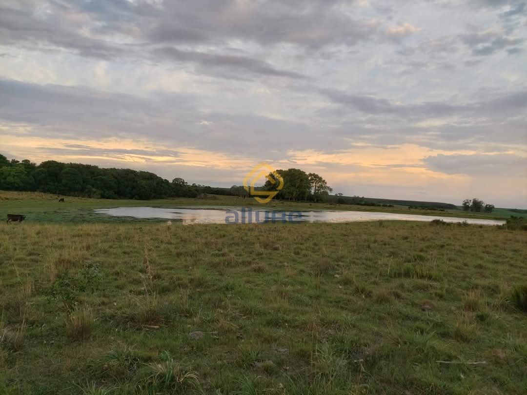 Fazenda/Sítios/Chácaras em Pedro Osório - Centro