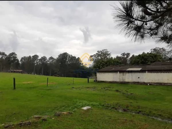 Fazenda/Sítios/Chácaras em Pelotas - Monte Bonito