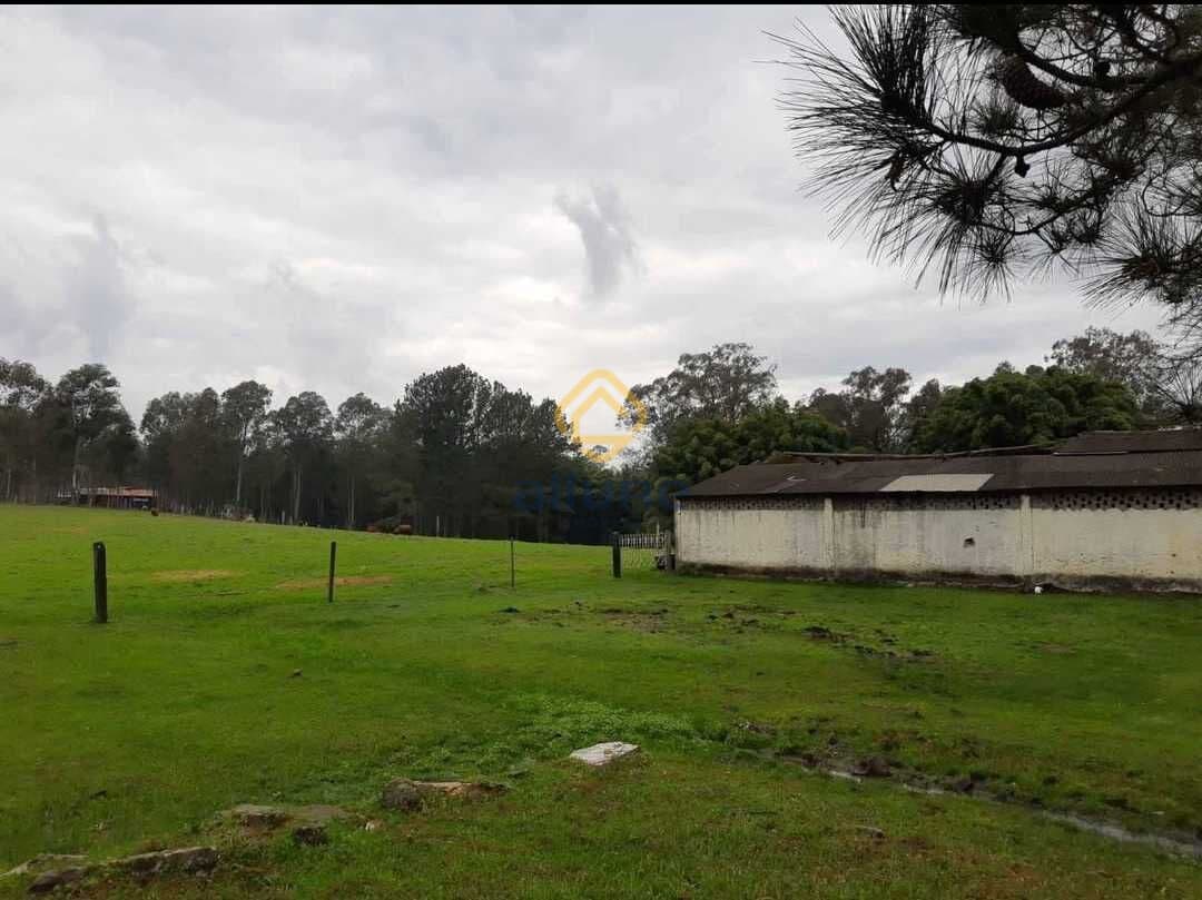 Fazenda/Sítios/Chácaras em Pelotas - Monte Bonito