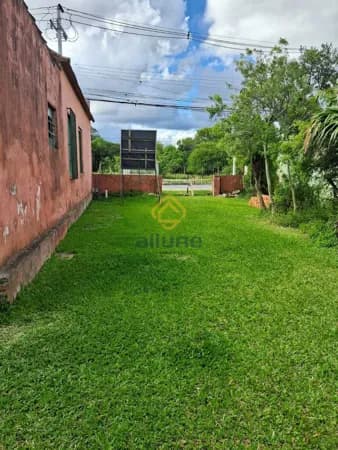 Terreno amplo e murado