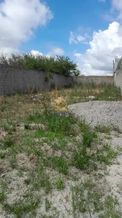 Lote/Terreno em Pelotas - Areal