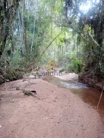 Fazenda/Sítios/Chácaras em Pelotas - Cascata