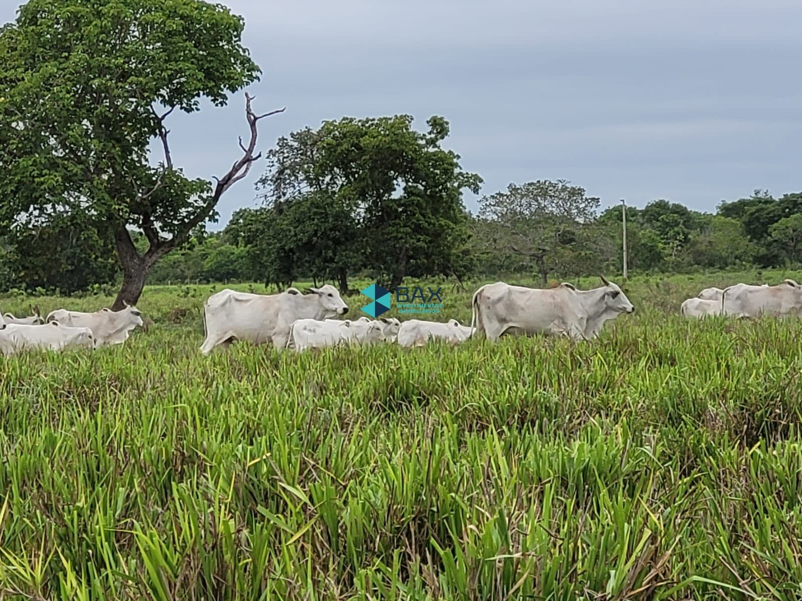 Fazenda/Sítios/Chácaras em Rondonópolis - Centro