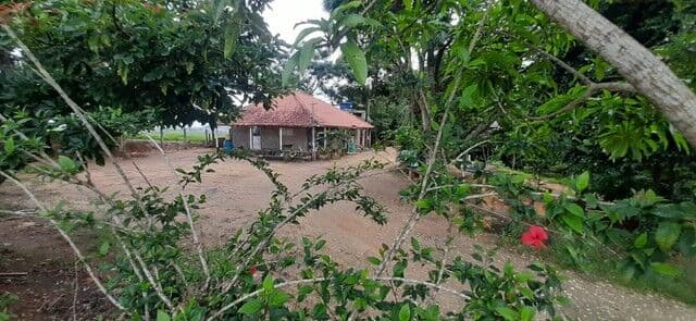 Fazenda/Sítios/Chácaras em São José dos Campos - Buquirinha