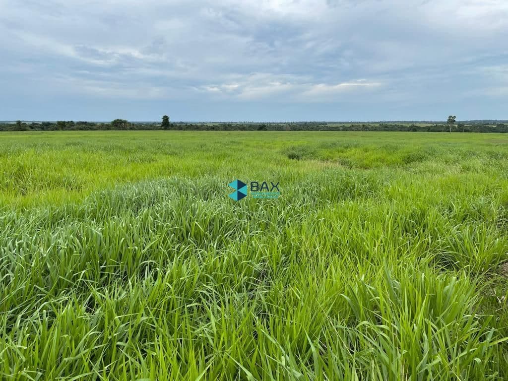 Fazenda/Sítios/Chácaras em Araguaína - Loteamento Mansões do Lago