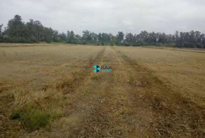 Fazenda/Sítios/Chácaras em Pindamonhangaba - Centro