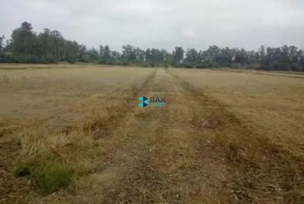 Fazenda/Sítios/Chácaras em Pindamonhangaba - Centro