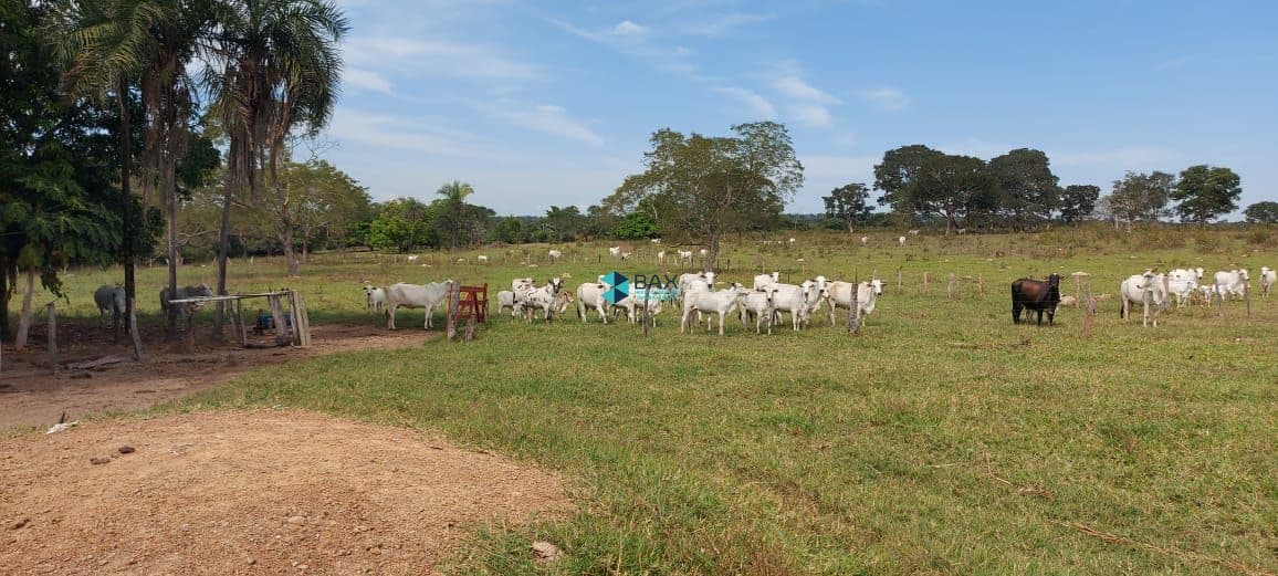 Fazenda/Sítios/Chácaras em Barra do Garças - Centro