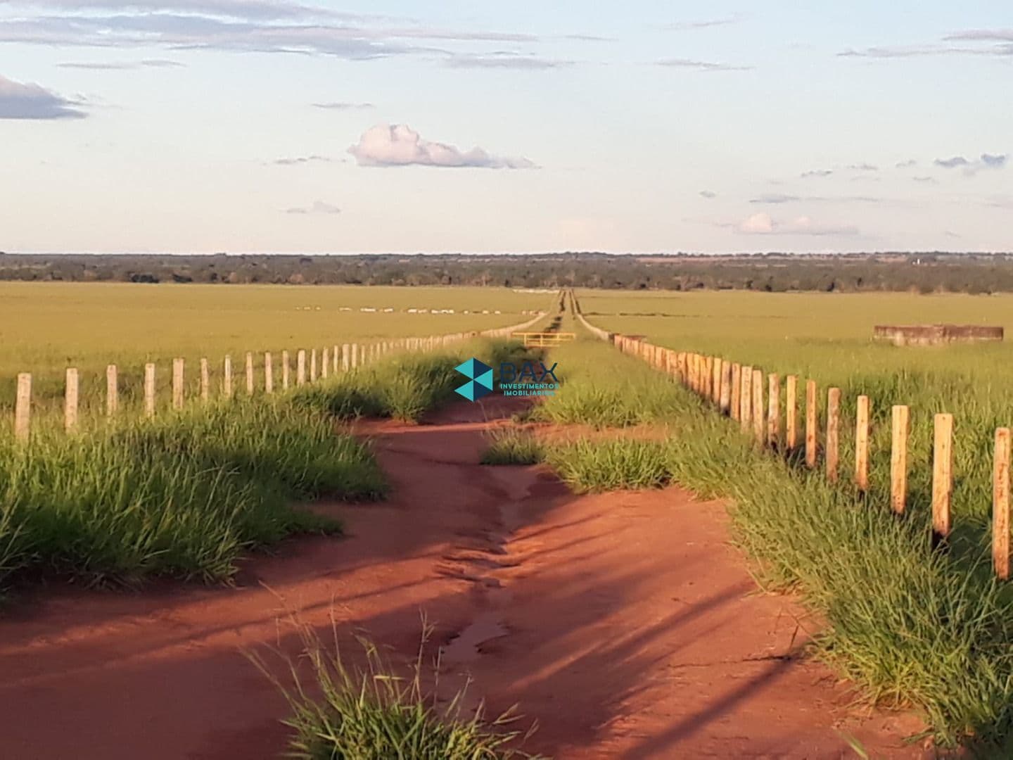 Fazenda/Sítios/Chácaras em Barra do Garças - Centro