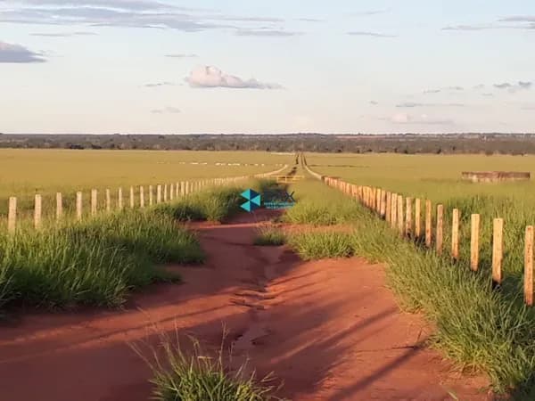 Fazenda/Sítios/Chácaras em Barra do Garças - Centro