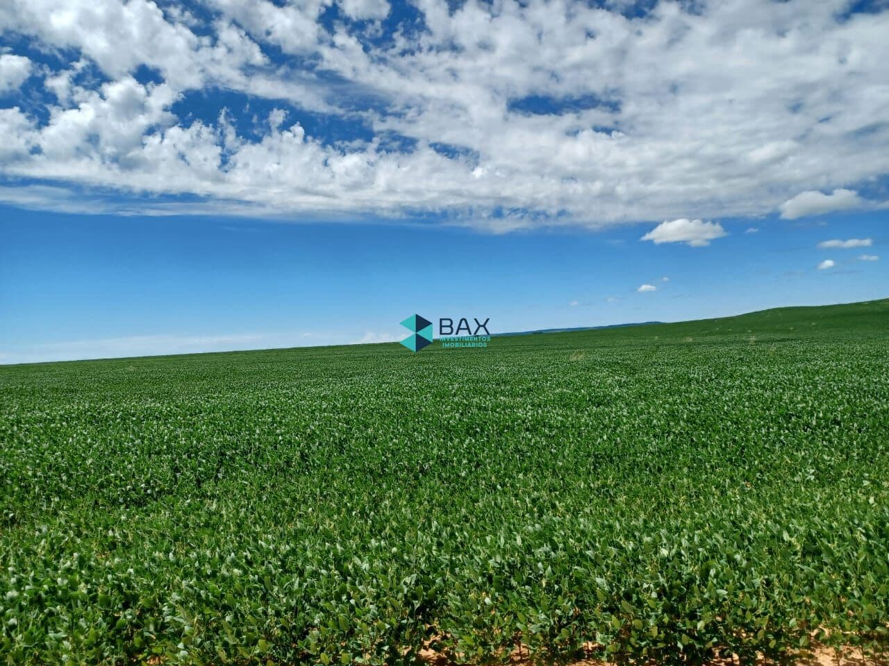 Fazenda/Sítios/Chácaras em Barra Mansa - Centro