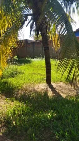 Chácara em Estância Santa Rosa, Ipiguá/SP - R$ 300 MIL