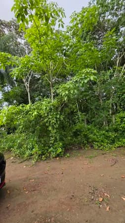 🌳 Terreno à Venda no Condomínio Haras de Aldeia 1 – R$280.000 🌿