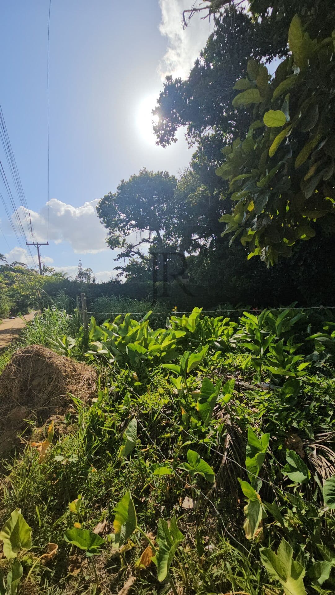 Terreno Espaçoso no Km 10 de Aldeia