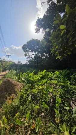 Terreno Espaçoso no Km 10 de Aldeia