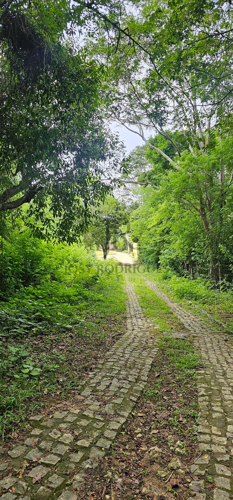 EXCELENTE terreno no coração de Aldeia