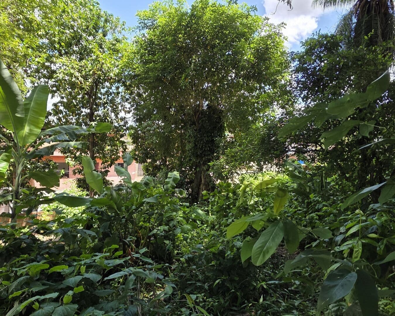 🏙️ Oportunidade Única no Centro de São Lourenço da Mata! 🏙️