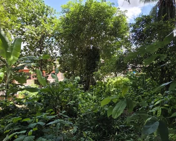 🏙️ Oportunidade Única no Centro de São Lourenço da Mata! 🏙️