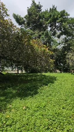 Terreno Espaçoso à Venda
