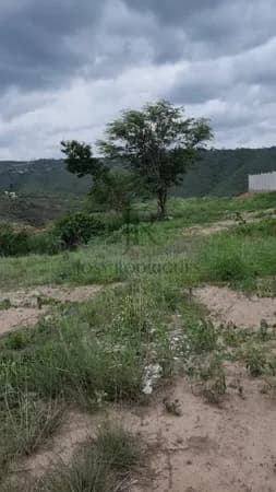 Terreno em Gravata