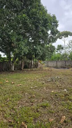 Terreno Fértil e Pronto para Desenvolvimento