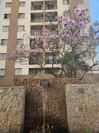 Apartamento em São Paulo - Parque São Domingos