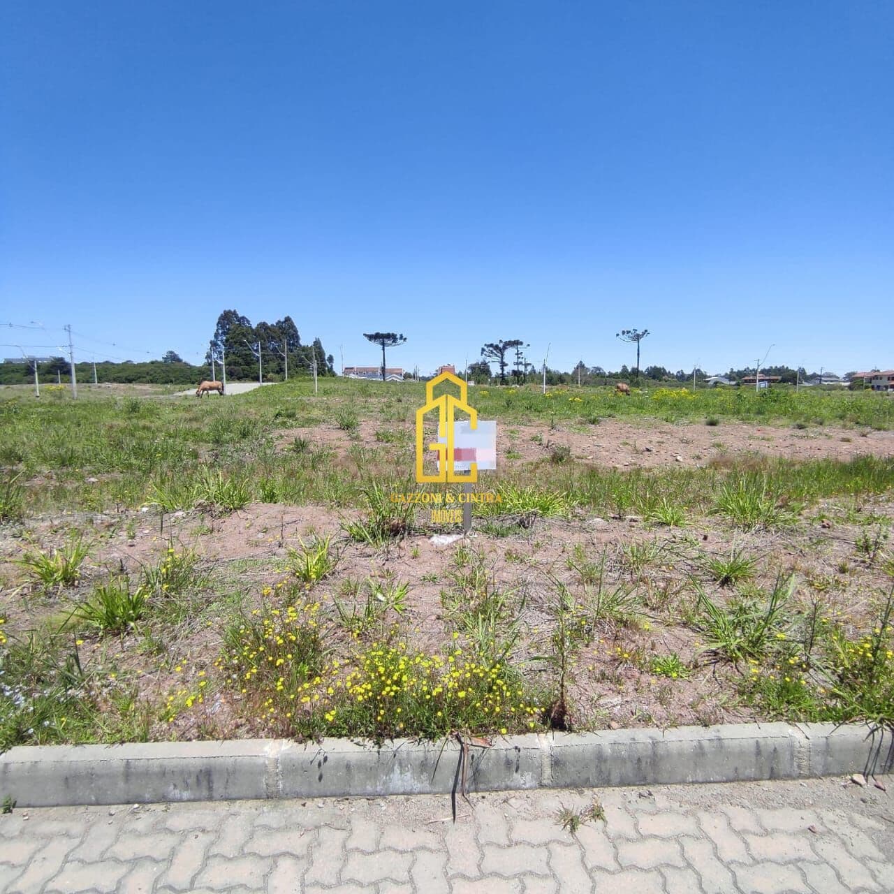 Lote/Terreno em Caxias do Sul - Desvio Rizzo