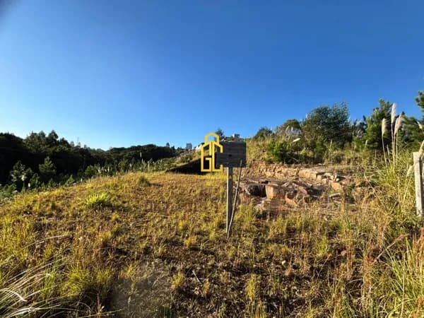 Lote/Terreno em Caxias do Sul - Desvio Rizzo