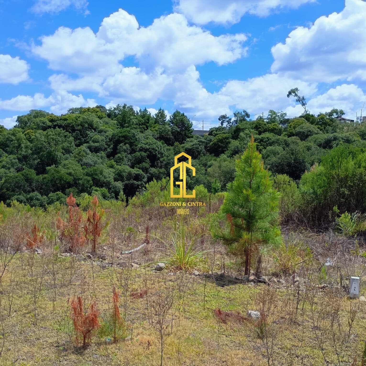 Lote/Terreno em Caxias do Sul - São Giácomo