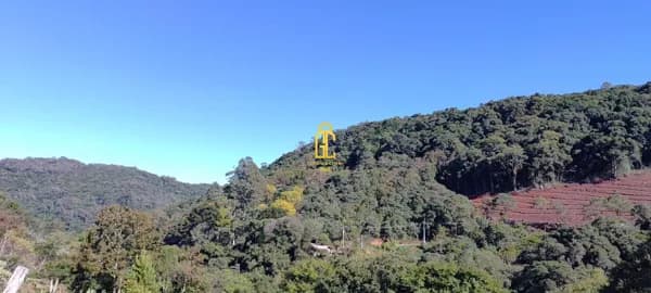 Lote/Terreno em Caxias do Sul - Galópolis